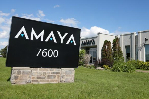amaya