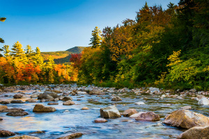 New Hampshire se convierte en el 6º estado en lanzar lotería online