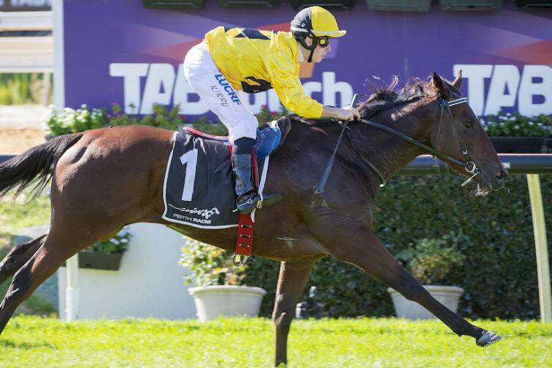 Tabcorp surge como principal candidato para la compra de la agencia de apuestas TAB de West Australia