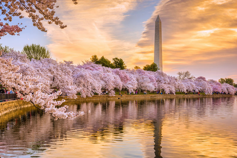 Las apuestas deportivas en D.C., más cerca de convertirse en realidad