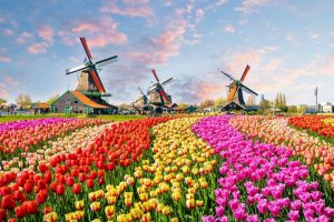 Betsson cambia el nombre de sus casinos online holandeses