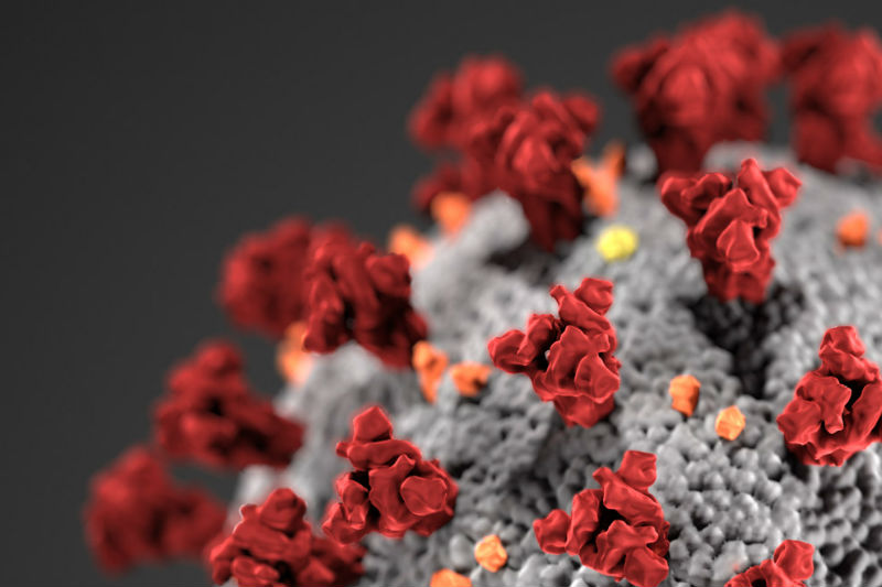 Los casinos online ‘libre de corona’ en problemas con el regulador holandés