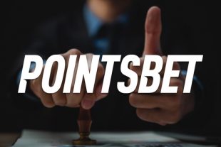 Junta de Control de Juegos de Michigan anuncia el décimo casino