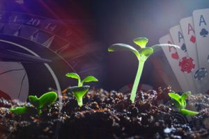 Los Juegos Estadounidenses Continúan Batiendo Récords