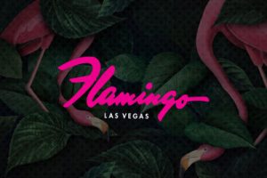 Cuidado con las Estafas de Inversión de Casino NFT