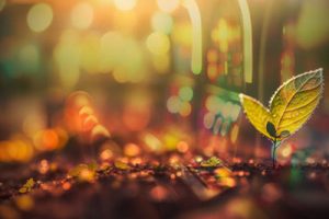 Sun International Continua su Crecimiento e Impulsa SunSlots
